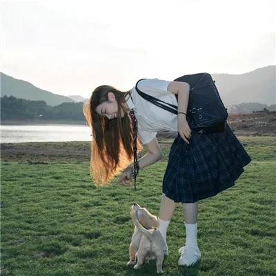 狗仔窥视界