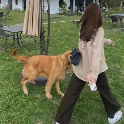 美国大屠杀
